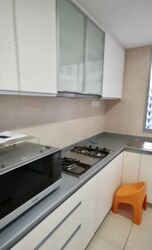 The Lakeshore (D22), Condominium #407434851